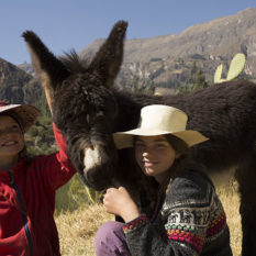 Saba und Lola mit Joseppel, unserem Eselchen Foto: ©Lichtbildarena